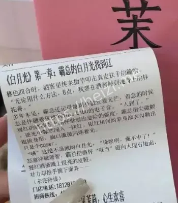我在小票上追霸总网文